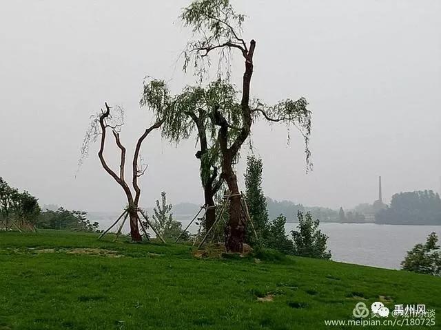 禹州高铁新城登善湖城市山地公园人员聚集?官方回复了! 禹州高铁新城登善湖城市山地公园人员聚集?官方回复了!