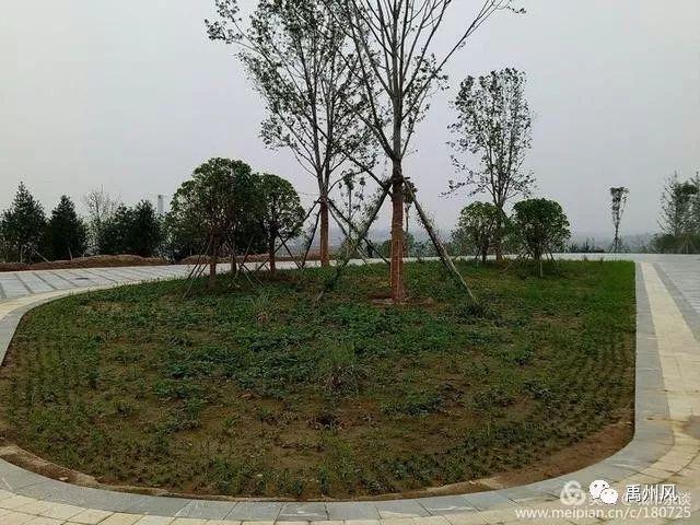禹州高铁新城登善湖城市山地公园人员聚集?官方回复了! 禹州高铁新城登善湖城市山地公园人员聚集?官方回复了!