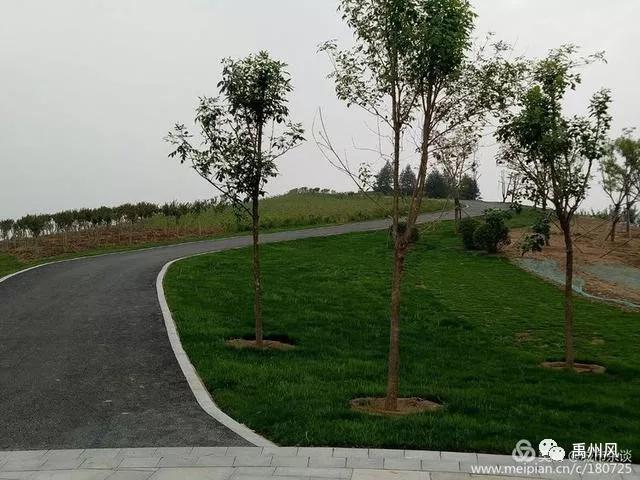 禹州高铁新城登善湖城市山地公园人员聚集?官方回复了! 禹州高铁新城登善湖城市山地公园人员聚集?官方回复了!