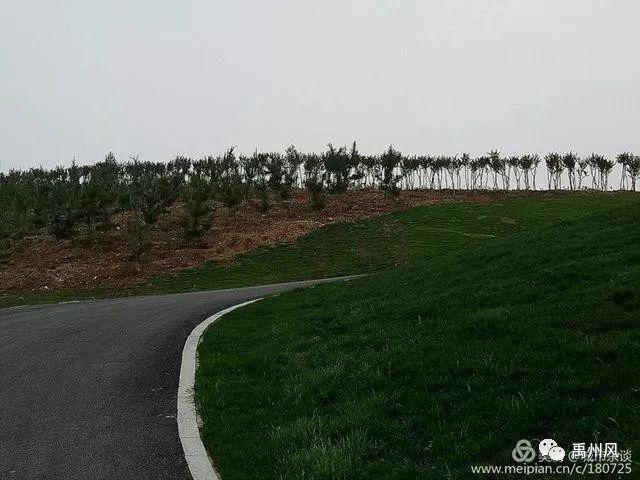禹州高铁新城登善湖城市山地公园人员聚集?官方回复了! 禹州高铁新城登善湖城市山地公园人员聚集?官方回复了!