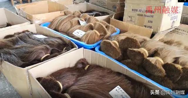 热销全球的禹州假发出口零订单,企业:准备转战国内直播卖货! 热销全球的禹州假发出口零订单,企业:准备转战国内直播卖货!