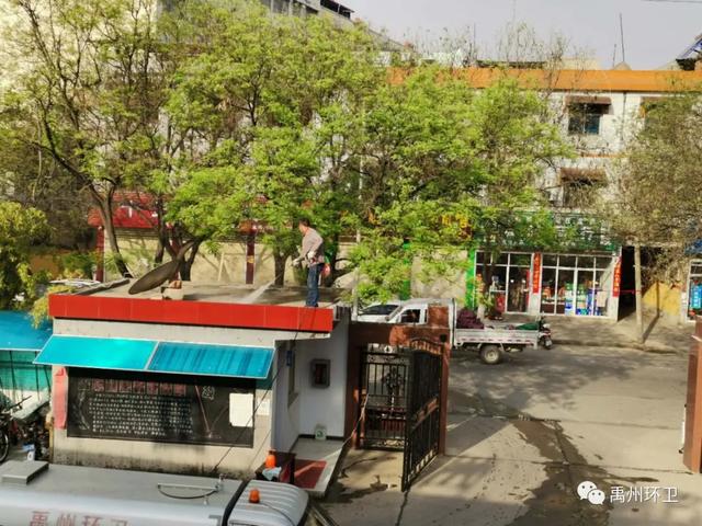 禹州环卫:扮靓城市卫生环境 共建和谐美丽家园 禹州环卫:扮靓城市卫生环境 共建和谐美丽家园