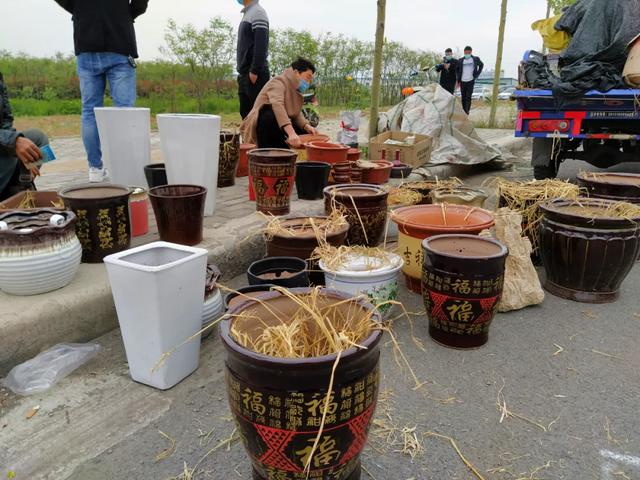 现场实拍!禹州商博城狗市搬迁后,我们发现.... 现场实拍!禹州商博城狗市搬迁后,我们发现....