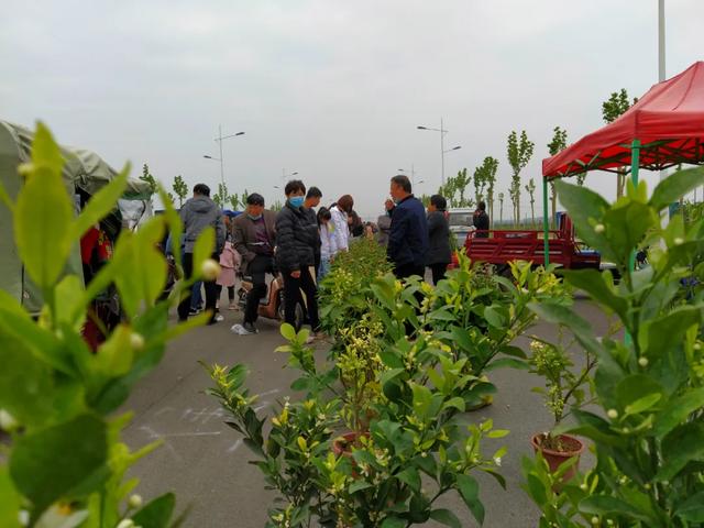 现场实拍!禹州商博城狗市搬迁后,我们发现.... 现场实拍!禹州商博城狗市搬迁后,我们发现....