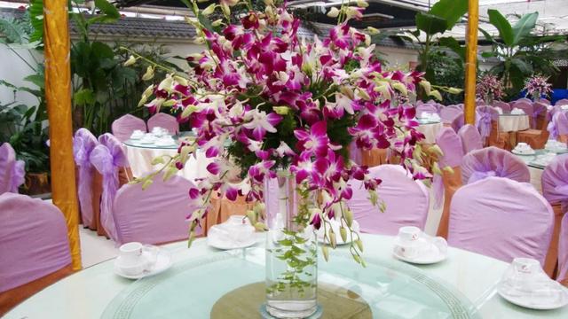 禹州金色港湾生态园10周年大回馈 百万豪礼大回馈仅剩10天! 禹州金色港湾生态园10周年大回馈 百万豪礼大回馈仅剩10天!