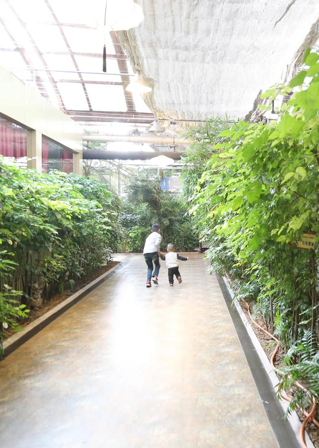禹州金色港湾生态园10周年大回馈 百万豪礼大回馈仅剩10天! 禹州金色港湾生态园10周年大回馈 百万豪礼大回馈仅剩10天!