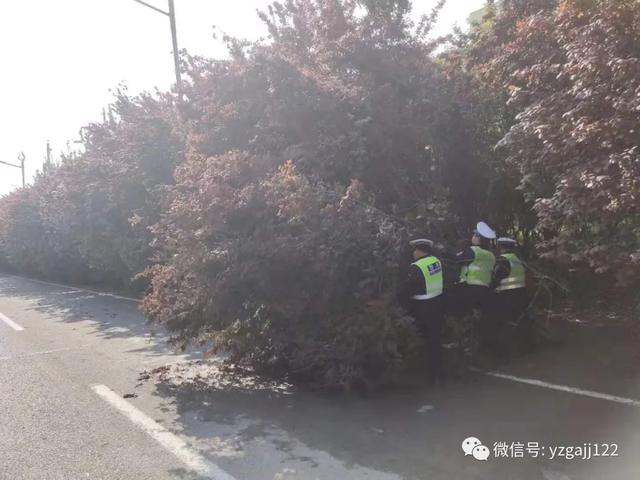 禹州交警查处两起准驾不符违法案件 禹州交警查处两起准驾不符违法案件