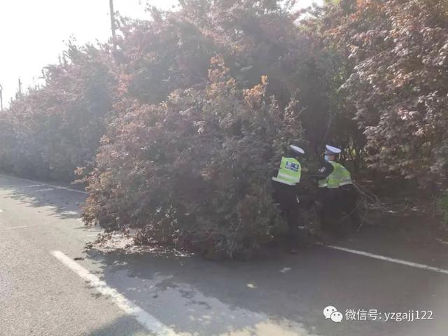 禹州交警查处两起准驾不符违法案件 禹州交警查处两起准驾不符违法案件