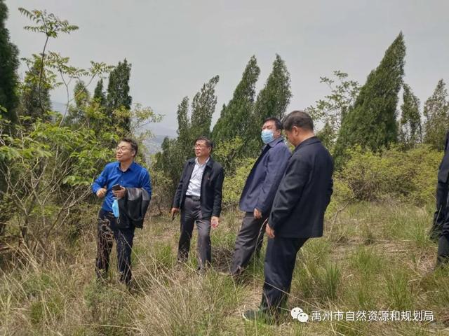 河南省自然资源厅厅长张兴辽莅禹调研指导工作 河南省自然资源厅厅长张兴辽莅禹调研指导工作