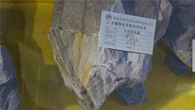 美丽乡村我的家,大家一起游许昌!首站禹州今日欢乐收官! 美丽乡村我的家,大家一起游许昌!首站禹州今日欢乐收官!
