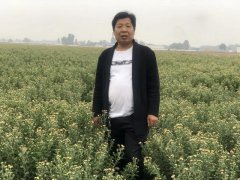 只因一次活动，禹州这个人获奖5000元……