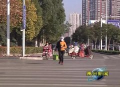 禹州行人、非机动车闯红灯，走机动车道将被处罚教育！执行时间确定！