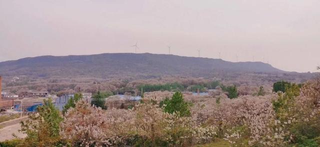 五一假期禹州神垕古镇景区入园流程来啦! 五一假期禹州神垕古镇景区入园流程来啦!