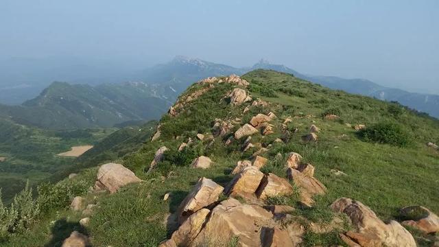 禹州浅井镇张地村藏在深山的千年牡丹! 禹州浅井镇张地村藏在深山的千年牡丹!