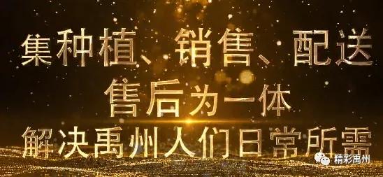 刚发通知!禹州重金急寻这几个人!看看你认识不? 刚发通知!禹州重金急寻这几个人!看看你认识不?
