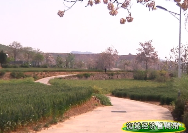 禹州市:践行“两山”理念 发展沟域经济 助力脱贫攻坚 推动乡村振兴 禹州市:践行“两山”理念 发展沟域经济 助力脱贫攻坚 推动乡村振兴