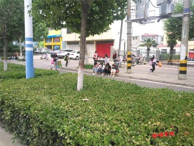 直击禹州小学复学现场!快随小编一起到现场去探班吧~ 直击禹州小学复学现场!快随小编一起到现场去探班吧~
