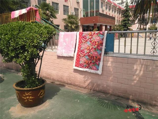 直击禹州小学复学现场!快随小编一起到现场去探班吧~ 直击禹州小学复学现场!快随小编一起到现场去探班吧~