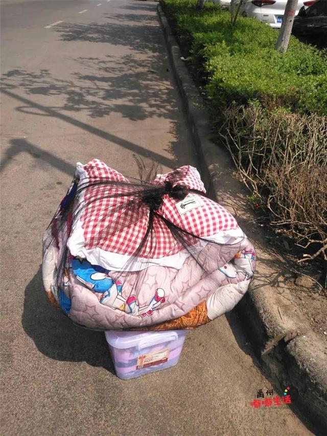 直击禹州小学复学现场!快随小编一起到现场去探班吧~ 直击禹州小学复学现场!快随小编一起到现场去探班吧~