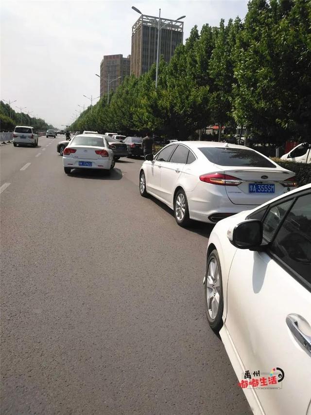 直击禹州小学复学现场!快随小编一起到现场去探班吧~ 直击禹州小学复学现场!快随小编一起到现场去探班吧~