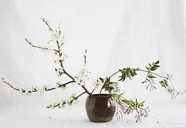 禹州锦绣华城献礼愿时光不老芳华依旧母亲节插花课堂开始啦! 禹州锦绣华城献礼愿时光不老芳华依旧母亲节插花课堂开始啦!