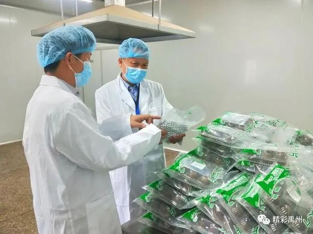 全覆盖?执法人员已入驻禹州13家中药饮片生产企业! 全覆盖?执法人员已入驻禹州13家中药饮片生产企业!