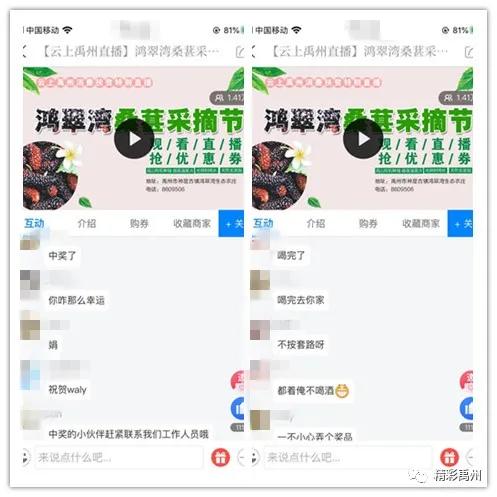 禹州“鸿翠湾桑葚采摘节”雨中直播活动圆满结束! 禹州“鸿翠湾桑葚采摘节”雨中直播活动圆满结束!