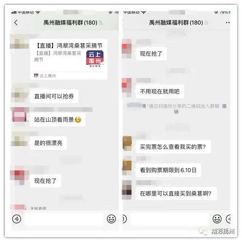 禹州“鸿翠湾桑葚采摘节”雨中直播活动圆满结束! 禹州“鸿翠湾桑葚采摘节”雨中直播活动圆满结束!