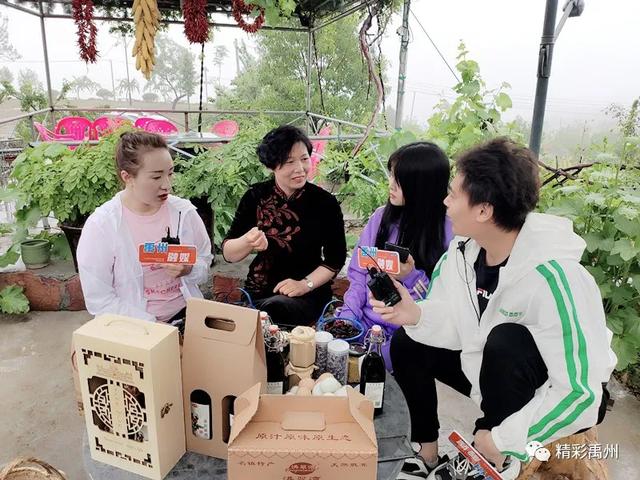 禹州“鸿翠湾桑葚采摘节”雨中直播活动圆满结束! 禹州“鸿翠湾桑葚采摘节”雨中直播活动圆满结束!