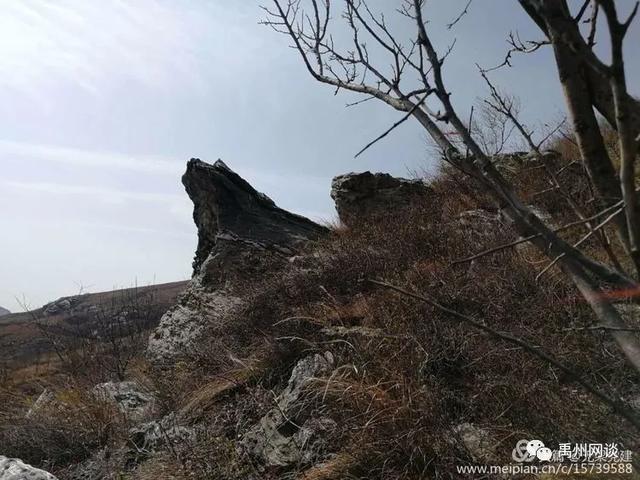 禹州无梁镇的"金果子"让人垂涎欲滴.... 禹州无梁镇的"金果子"让人垂涎欲滴....