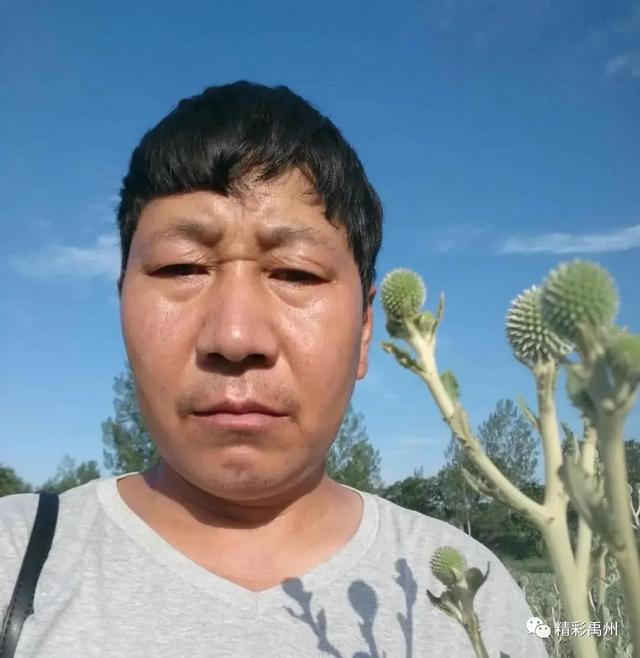 一种禹州道地中药材濒临绝迹,两兄弟历时七年抢救成功! 一种禹州道地中药材濒临绝迹,两兄弟历时七年抢救成功!
