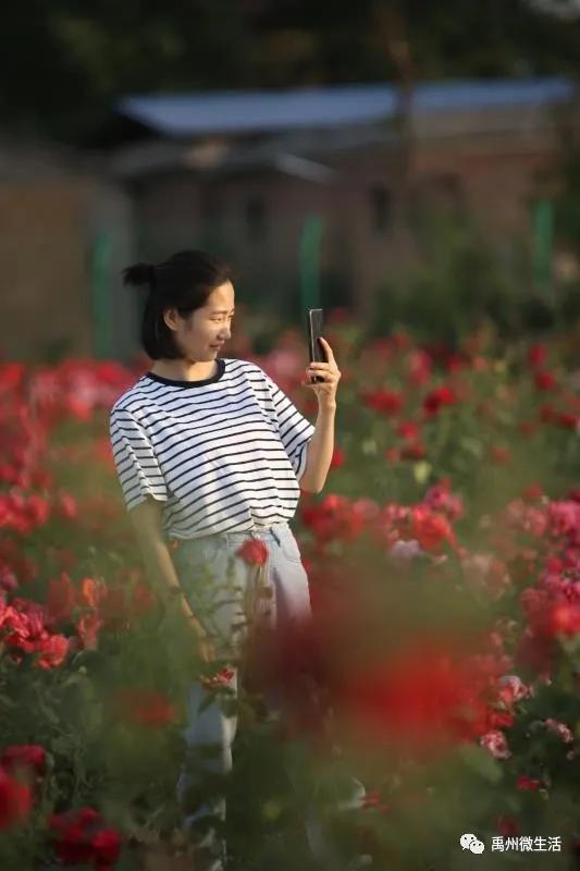 禹州又一网红打卡地开放 禹州又一网红打卡地开放
