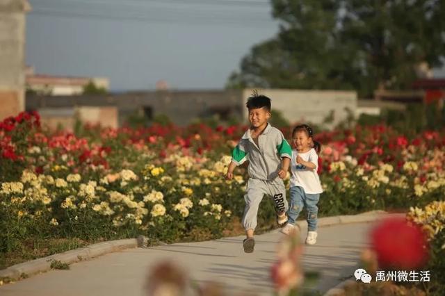 禹州又一网红打卡地开放 禹州又一网红打卡地开放