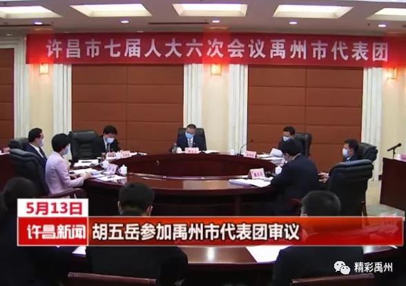 胡五岳与禹州市代表团一同审议政府工作报告 胡五岳与禹州市代表团一同审议政府工作报告