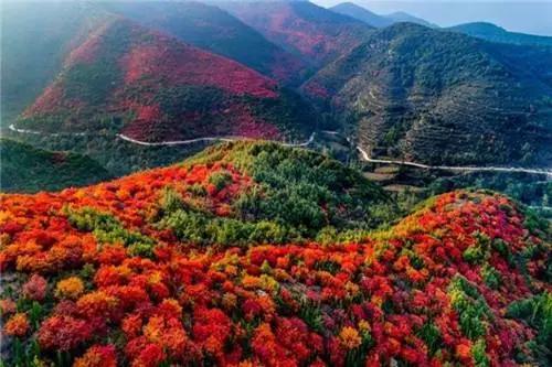 禹州大鸿寨致敬!“疫”后首个中国旅游日 禹州大鸿寨致敬!“疫”后首个中国旅游日