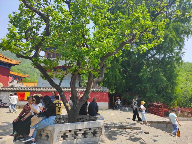 禹州大鸿寨致敬!“疫”后首个中国旅游日 禹州大鸿寨致敬!“疫”后首个中国旅游日