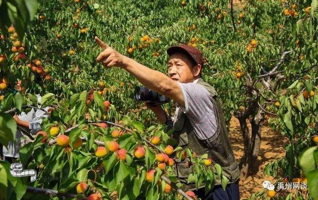 彻底火了!禹州这个村天天被挤爆!网友今天竟捡到“金元宝”! 彻底火了!禹州这个村天天被挤爆!网友今天竟捡到“金元宝”!