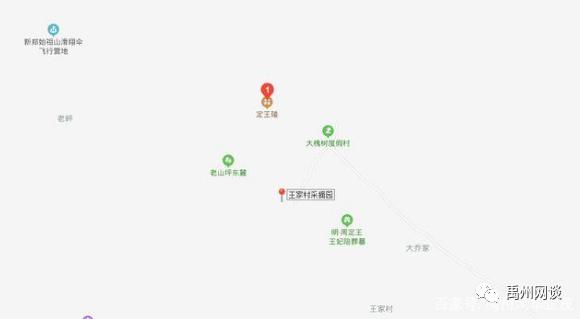 禹州市无梁镇王家村万亩金杏采摘节将盛大启幕 禹州市无梁镇王家村万亩金杏采摘节将盛大启幕