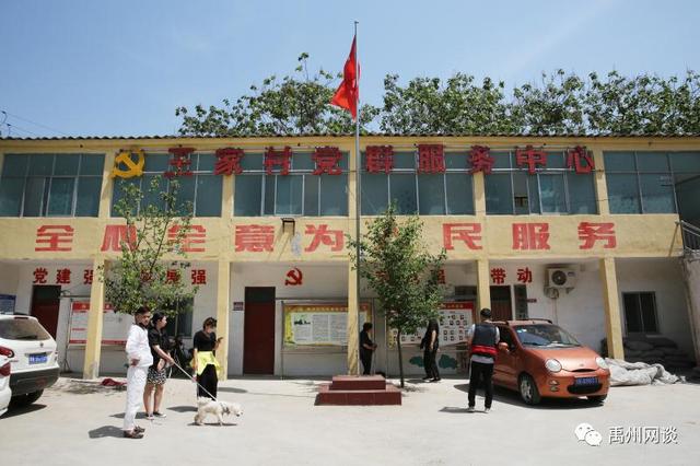 禹州市无梁镇王家村万亩金杏采摘节将盛大启幕 禹州市无梁镇王家村万亩金杏采摘节将盛大启幕
