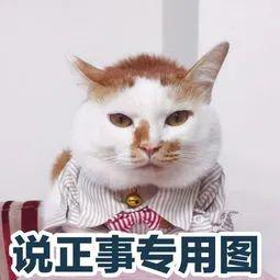 为什么会有越来越多的人选择禹州钧瓷茶具? 为什么会有越来越多的人选择禹州钧瓷茶具?