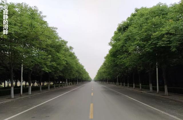 可靠消息,禹州华夏大道西段建设又有新进展! 可靠消息,禹州华夏大道西段建设又有新进展!