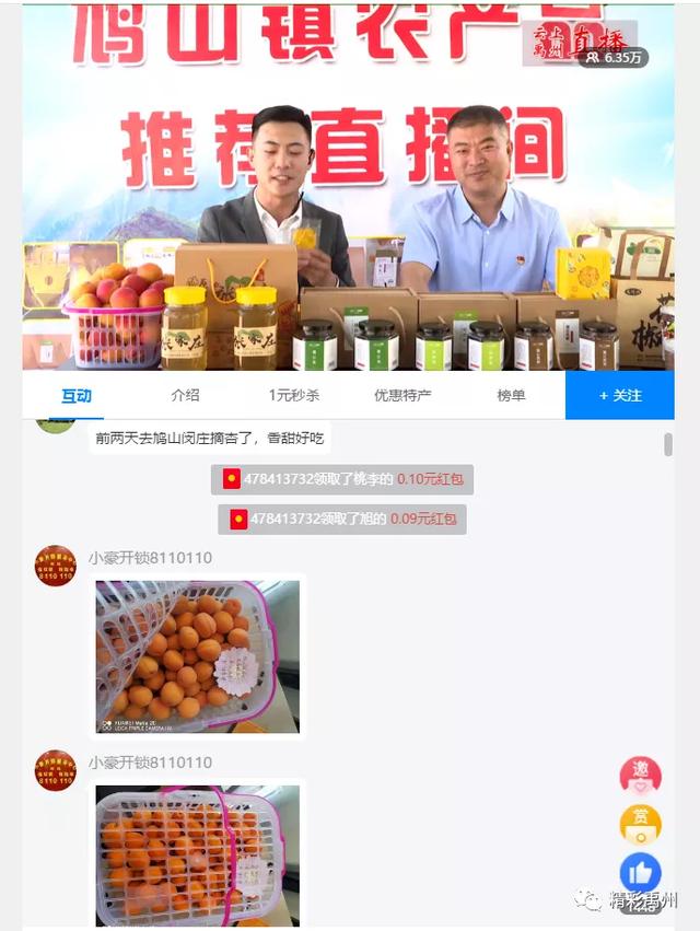 禹州鸠山镇闵庄村杏果采摘旅游节开幕 禹州鸠山镇闵庄村杏果采摘旅游节开幕