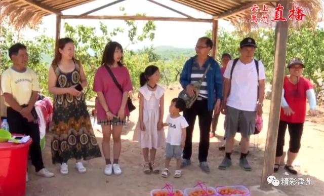 禹州鸠山镇闵庄村杏果采摘旅游节开幕 禹州鸠山镇闵庄村杏果采摘旅游节开幕