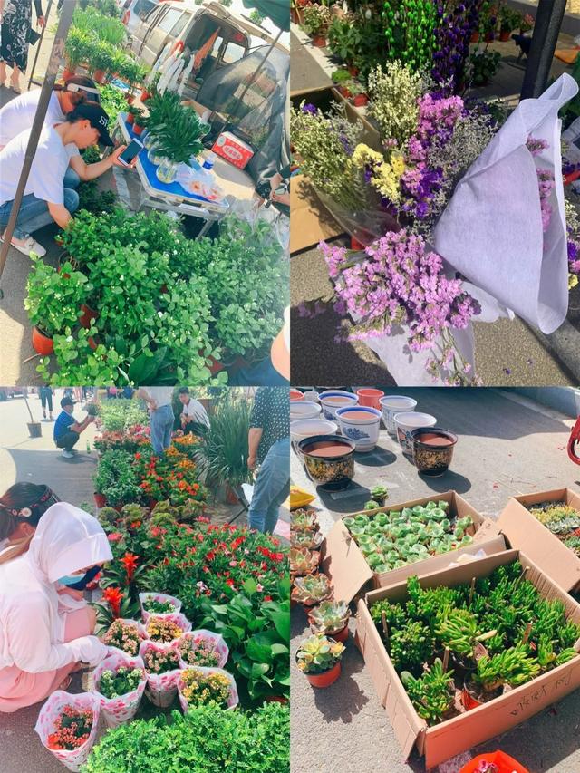 禹州新狗市:实拍搬迁后的禹州狗市儿大变样了! 禹州新狗市:实拍搬迁后的禹州狗市儿大变样了!
