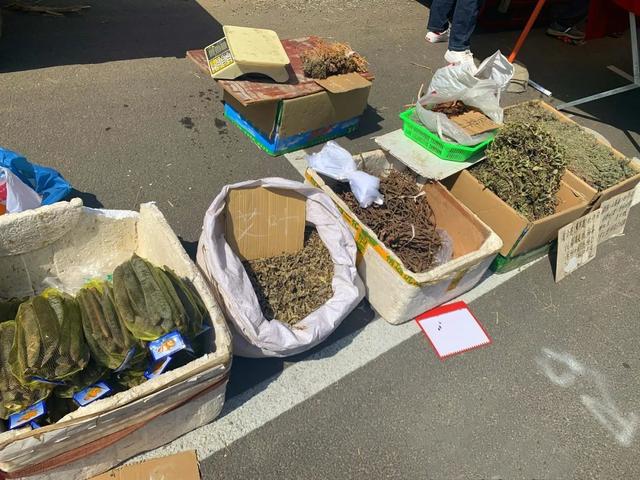 禹州新狗市:实拍搬迁后的禹州狗市儿大变样了! 禹州新狗市:实拍搬迁后的禹州狗市儿大变样了!