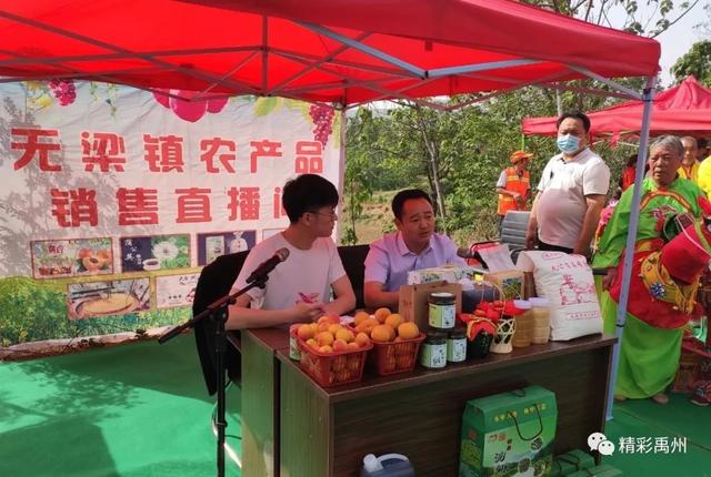 禹州无梁镇王家村:山杏引路“钱袋子”鼓 村民笑颜藏不住 禹州无梁镇王家村:山杏引路“钱袋子”鼓 村民笑颜藏不住