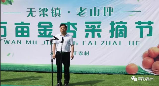 禹州无梁镇王家村:山杏引路“钱袋子”鼓 村民笑颜藏不住 禹州无梁镇王家村:山杏引路“钱袋子”鼓 村民笑颜藏不住