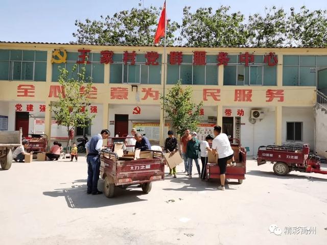 禹州无梁镇王家村:山杏引路“钱袋子”鼓 村民笑颜藏不住 禹州无梁镇王家村:山杏引路“钱袋子”鼓 村民笑颜藏不住