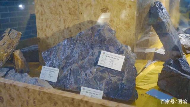 禹州有个公园不简单,拥有2.5亿年植物化石,全国唯一古植物公园 禹州有个公园不简单,拥有2.5亿年植物化石,全国唯一古植物公园