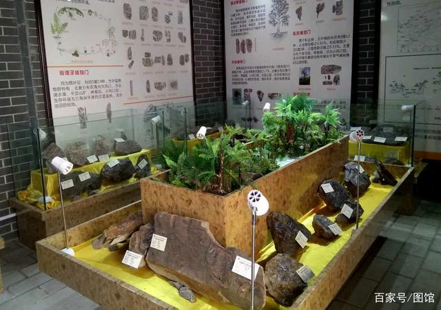 禹州有个公园不简单,拥有2.5亿年植物化石,全国唯一古植物公园 禹州有个公园不简单,拥有2.5亿年植物化石,全国唯一古植物公园
